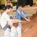 Tín dụng chính sách được người dân xã Gio Sơn vay về làm nghề nấm