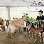 Đồng bào DTTS tại tỉnh Lai Châu vay vốn nuôi dê Ảnh: Tư liệu