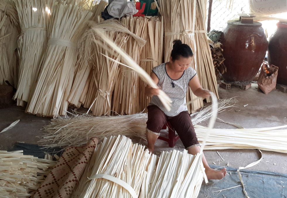 Hộ gia đình Nguyễn Văn Sáu ở ấp Thân Hòa, xã Thân Cửu Nghĩa, huyện Châu Thành vay 20 triệu đồng từ chương trình tín dụng giải quyết việc làm để mua nguyên liệu làm nón lá