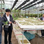 Vườn lan có giá trị kinh tế cao của hộ gia đình anh Ngô Xuân Thu