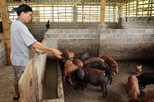 Một ngày giao dịch xã ở huyện Tuần Giáo | Ngân hàng Chính sách xã hội