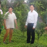 Tổng Giám đốc Dương Quyết Thắng (thứ hai bên phải qua) đến động viên, thăm hỏi hộ gia đình vay vốn NHCSXH