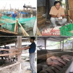 Đồng vốn ưu đãi đã và đang đồng hành cùng người nghèo ở các thôn quê tỉnh Thừa Thiên - Huế