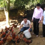 Anh Bùi Văn Thiều (người ngồi) chia sẻ kinh nghiệm trong chăn nuôi