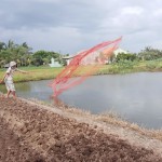 Hộ nghèo ở huyện Gò Công Đông vay vốn đào ao thả cá