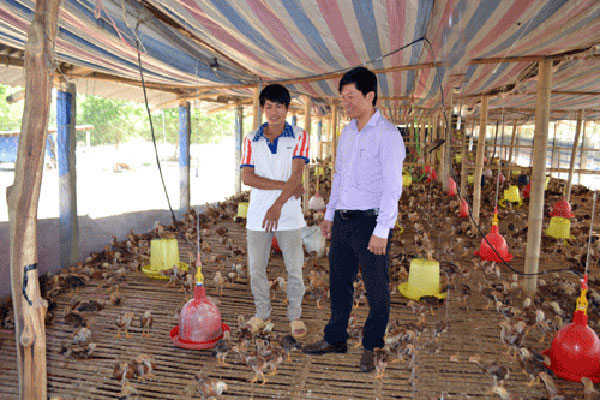 Anh Trần Tấn Phát (bên trái) chia sẻ về kinh nghiệm chăn nuôi gia cầm