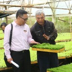 Anh Nguyễn Ngọc Quyền (bên phải) chia sẻ về kỹ thuật ươm giống rau