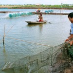 Nông dân xã Kim Đông vay vốn chính sách mở rộng đầm nuôi tôm