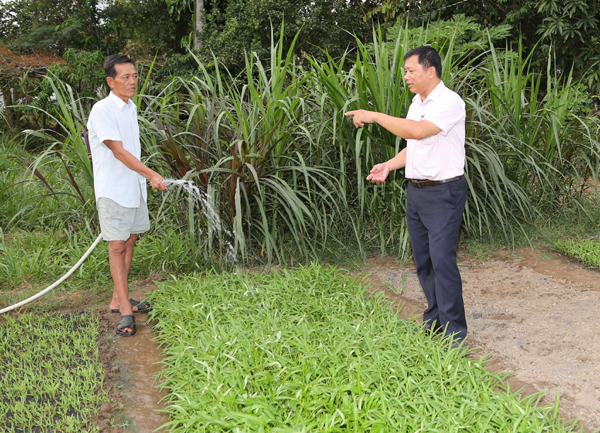 Nguồn vốn cho vay nước sạch giúp gia đình ông Bùi Văn Liêm ở ấp Thạch Lợi, xã Bình Thạnh, huyện Thạch Phú nâng cao chất lượng cuộc sống