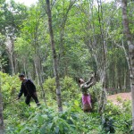 Tín dụng chính sách đã giúp nhiều hộ nghèo ở huyện nghèo Minh Hóa có điều kiện phát triển kinh tế đồi rừng