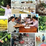 Trong 5 năm qua, đã có hơn 2,3 triệu lượt người nghèo và các đối tượng chính sách vùng Đồng bằng sông Cửu Long được vay vốn NHCSXH