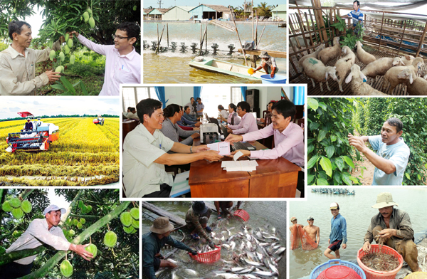 Trong 5 năm qua, đã có hơn 2,3 triệu lượt người nghèo và các đối tượng chính sách vùng Đồng bằng sông Cửu Long được vay vốn NHCSXH