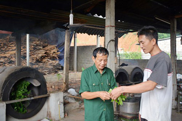 Thương binh hạng 4/4 Nguyễn Trung Thành trao đổi kinh nghiệm chăm sóc, phân loại chè xanh với các xã viên