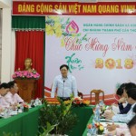 Tổng Giám đốc Dương Quyết Thắng phát biểu chỉ đạo tại buổi làm việc với chi nhánh TP Cần Thơ