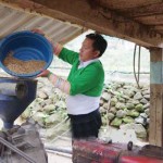 Anh Thao Văn Tông ở Bản Pù Đứa, xã Quang Chiểu, huyện Mường Lát vay vốn mua máy xay xát kinh doanh có hiệu quả