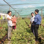 Mô hình phát triển kinh tế hiệu quả (vườn ươm cây giống) từ nguồn vốn vay ủy thác của hội viên nông dân xã Ea Ral, huyện Ea H’leo