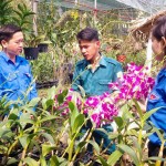 Anh Nguyễn Quốc Thái (giữa) đang giới thiệu mô hình trồng lan của mình cho các đoàn viên thanh niên đến học tập kinh nghiệm