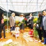 Đoàn công tác của Ban đại diện HĐQT NHCSXH thăm vườn sản xuất của hộ bà Hoàng Thị Anh