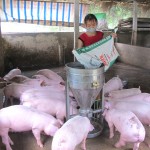 Nhờ phát triển chăn nuôi, nhiều hộ nông dân ở huyện Thanh Sơn đã vươn lên thoát nghèo