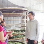 Ông Phan Văn Hùng (thứ hai bên phải) - Thứ trưởng, Phó Chủ nhiệm Ủy ban Dân tộc cùng Đoàn khảo sát thăm mô hình trồng dâu nuôi tằm nhà chị Rơ Ông K Nga ở xã Liêng Srônh, huyện Đăm Rông