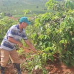 Nhiều hộ gia đình ở xã Đắk Hòa, huyện Đắk Song được vay vốn ưu đãi từ NHCSXH để đầu tư vào phát triển cây cà phê