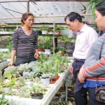 Cán bộ NHCSXH và Tổ tiết kiệm và vay vốn thăm cơ sở kinh doanh hoa cảnh của chị Nguyễn Thị Hoàng Oanh