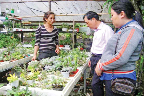 Cán bộ NHCSXH và Tổ tiết kiệm và vay vốn thăm cơ sở kinh doanh hoa cảnh của chị Nguyễn Thị Hoàng Oanh
