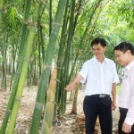 Ông Trần Văn Mười trao đổi với cán bộ NHCSXH tỉnh về mô hình sản xuất của gia đình mình