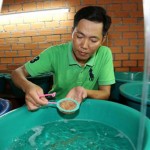 Chủ trang trại Nguyễn Thanh Tân đang kiểm tra bể ấp trứng lươn giống