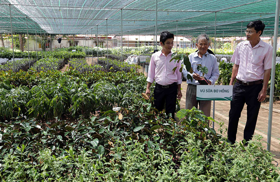 Được thành lập từ năm 2007, Công ty Nông trang ở xã Phú Quới, huyện Long Hồ vay vốn NHCSXH huyện Long Hồ 30 triệu đồng chuyên sản xuất cây giống chất lượng cao và các sản phẩm nông nghiệp sạch, giải quyếtviệc làm ổn định cho nhiều lao động trong vùng