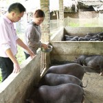 Chị Đồng Thị Đoài (bên phải), ở thôn Nà Ché, xã Thượng Giáo giới thiệu mô hình chăn nuôi lợn của gia đình