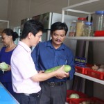 Từ nguồn vốn vay ưu đãi của NHCSXH TX Bỉm Sơn, ông Nguyễn Văn Đệ đã xây dựng được chuỗi SXKD hiệu quả, giải quyết việc làm cho hơn 10 lao động tại địa phương