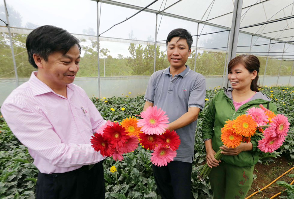 Từ 50 triệu đồng vốn vay chương trình giải quyết việc làm, gia đình chị Bùi Thị Lệ, anh Đinh Văn Hiến ở xã Lộc An, huyện Bảo Lâm đã đầu tư cải tạo vườn đồi, làm nhà kính trồng hoa