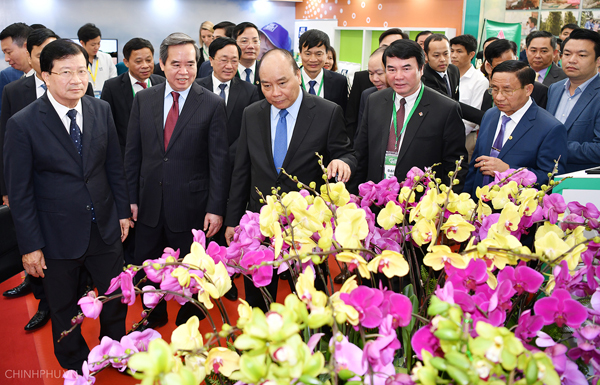 Thủ tướng Chính phủ đã đi thăm một số gian hàng sản phẩm nông nghiệp tại Triển lãm Ảnh: Quang Hiếu - Cổng TTĐTCP