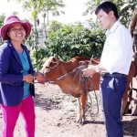 Niềm vui của chị Siu Luin ở làng Jar, xã Chư Đăng Ya, huyện Chư Păh khi được UBMTTQ tỉnh tặng bò