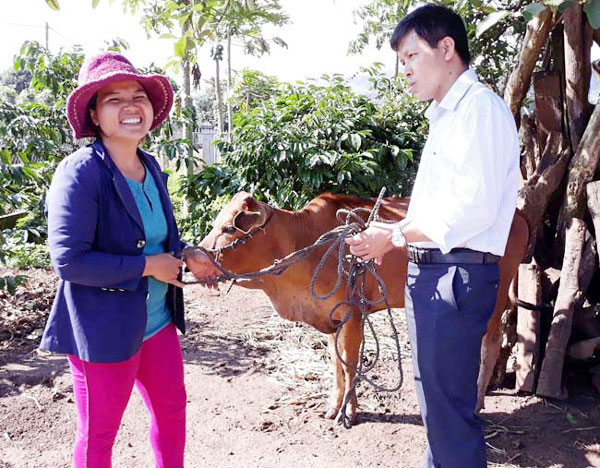 Niềm vui của chị Siu Luin ở làng Jar, xã Chư Đăng Ya, huyện Chư Păh khi được UBMTTQ tỉnh tặng bò