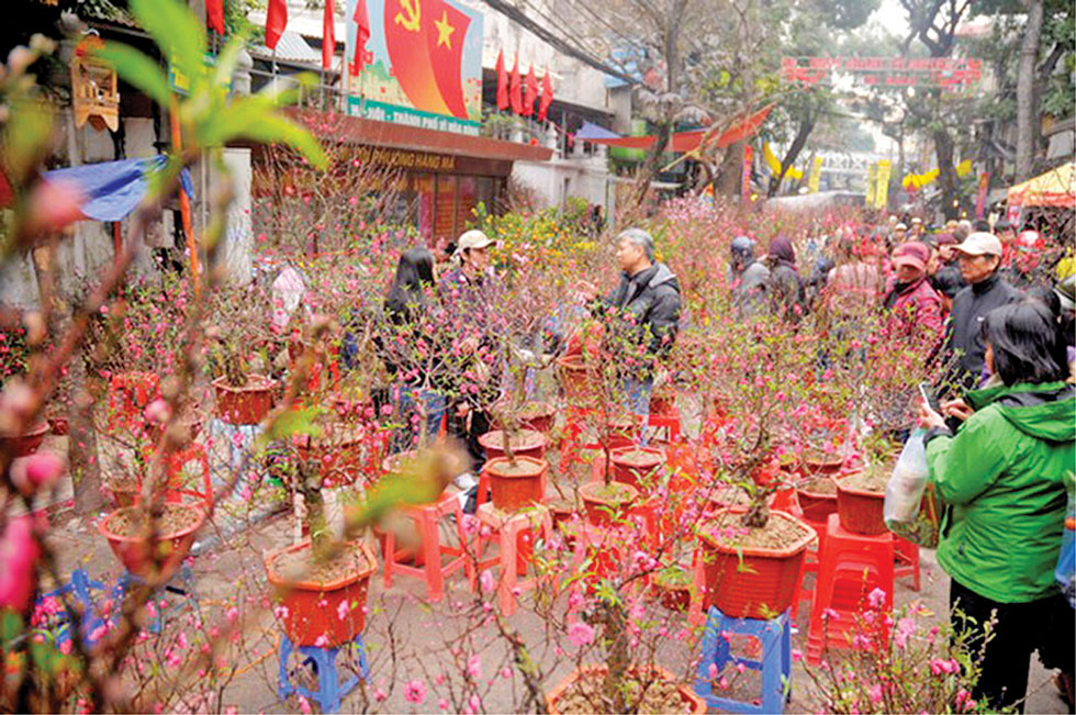 Vào mỗi dịp Tết đến xuân về, chợ hoa ở khu vực phố cổ lại nhộn nhịp