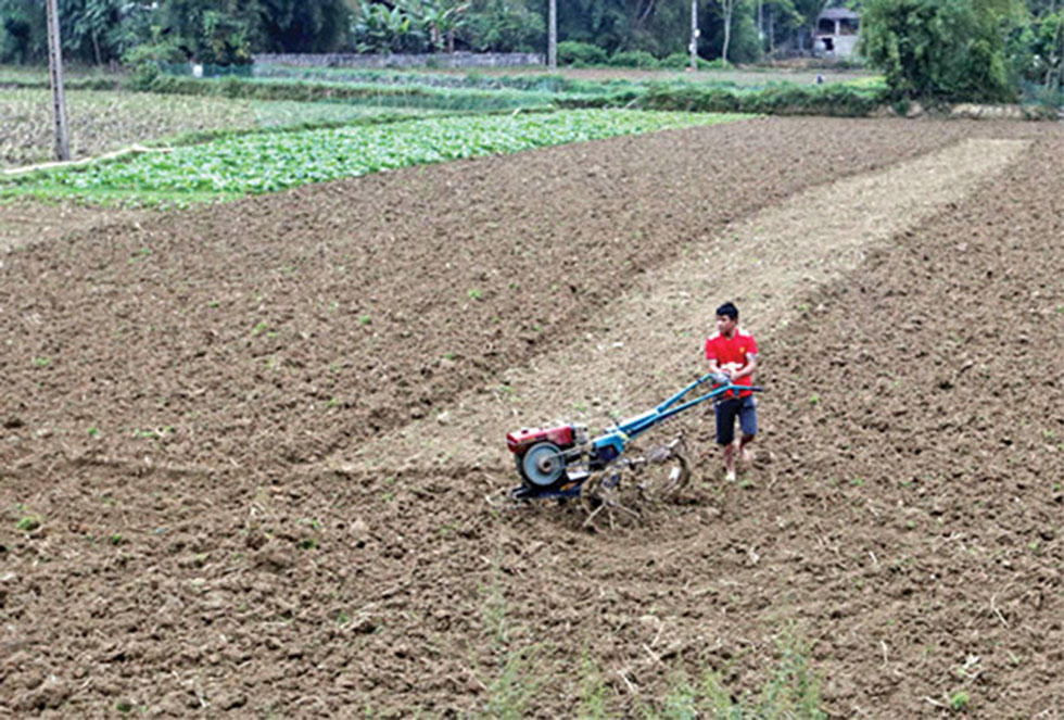 Hộ nghèo ở huyện Trùng Khánh vay vốn chính sách mua máy cày phục vụ ruộng đồng