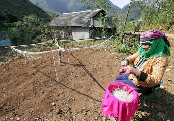 Gia đình chị Vàng Thị Chu, dân tộc Mông ở thôn Lủng Khúy, xã Quản Bạ, huyện Quản Bạ (Hà Giang) vay vốn hộ nghèo đầu tư chăn nuôi gia súc, làm nghề dệt thổ cẩm, gia đình có việc làm, có thêm thu nhập