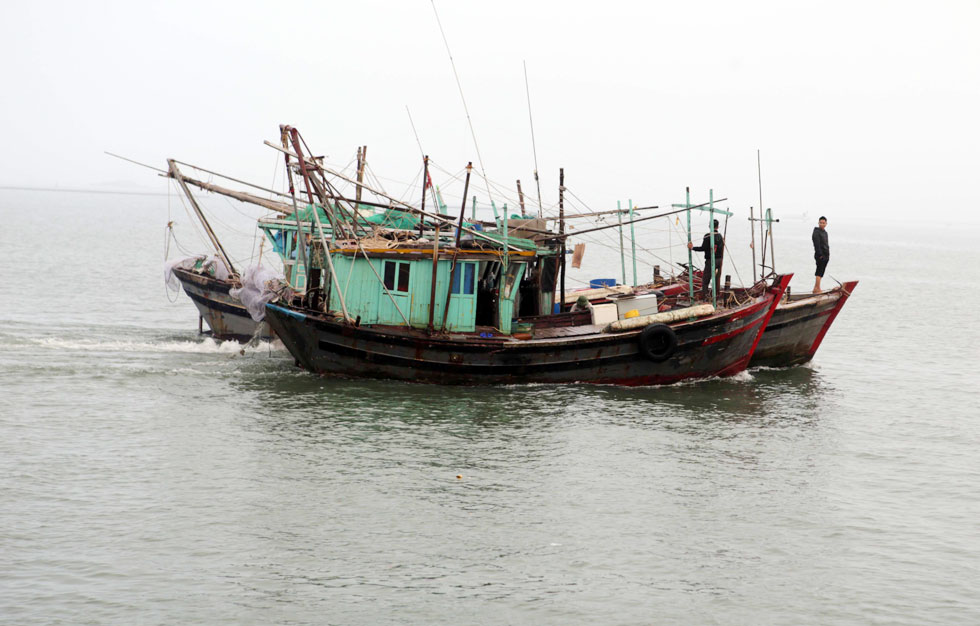 Nhiều gia đình ở Móng Cái còn được vay vốn ưu đãi từ NHCSXH đầu tư mua ngư cụ bám biển, đánh bắt hải sản, góp phần giữ vững an ninh biển đảo của Tổ quốc