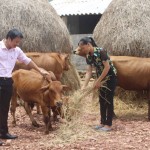 Từ nguồn vốn vay ưu đãi, nhiều nông dân Hà Tĩnh đã đầu tư phát triển sản xuất nông nghiệp hiệu quả và có thu nhập khấm khá