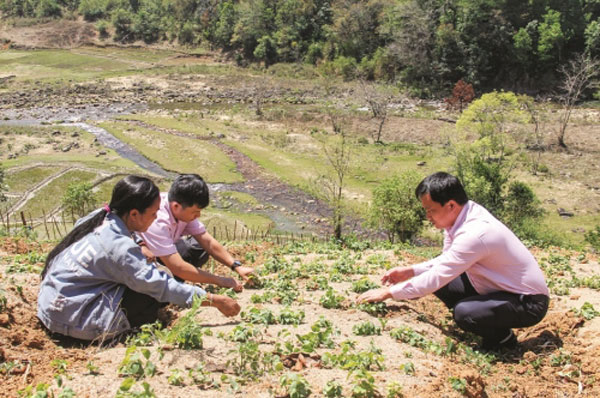 Chị Y B Lúc chia sẻ kinh nghiệm trồng sâm dây với cán bộ NHCSXH huyện Tu Mơ Rông