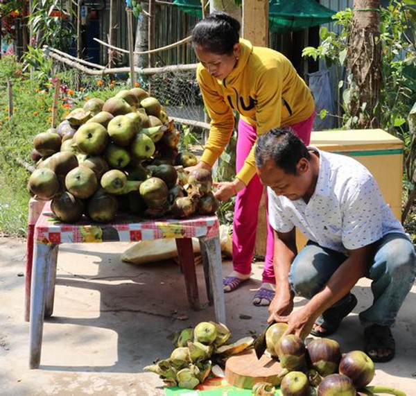 Nguồn vốn ưu đãi đã giúp đồng bào DTTS ở Vĩnh Long mở ra cơ hội làm ăn, chăn nuôi hiệu quả