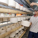 NHCSXH tỉnh Đắk Lắk tích cực hỗ trợ CCB sử dụng vốn vay hiệu quả