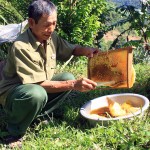 Hội viên CCB xã Lâm Sơn, huyện Chi Lăng sử dụng vốn vay ưu đãi để phát triển nuôi ong