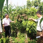 Cán bộ NHCSXH huyện Mai Sơn kiểm tra việc sử dụng vốn vay giải quyết việc làm tại hộ ông Hà Văn Đốc bản Yên Sơn, xã Hát Lót
