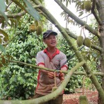 Vườn cây xen canh của anh Vương Thanh Ánh ở xã Ea Ral được đầu tư từ vốn vay ưu đãi