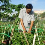 Sự quyết liệt triển khai Chỉ thị số 40 của hệ thống chính trị Đà Nẵng đã giúp người nghèo tiếp cận vốn chính sách để phát triển sản xuất, kinh doanh Ảnh: VGP