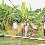 Cán bộ NHCSXH kiểm tra hiệu quả sử dụng vốn vay của gia đình chị Phạm Thị Én ở thôn An Chỉ, xã Bình Nguyên