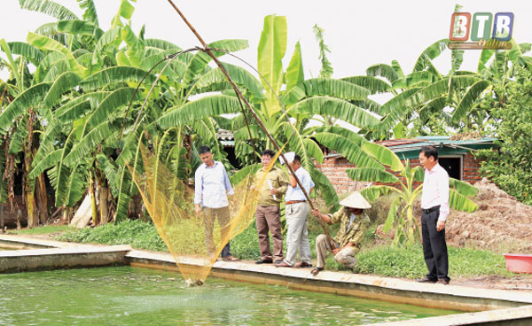 Cán bộ NHCSXH kiểm tra hiệu quả sử dụng vốn vay của gia đình chị Phạm Thị Én ở thôn An Chỉ, xã Bình Nguyên